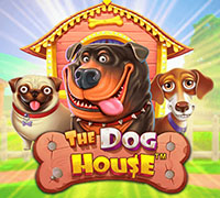 The Dog House